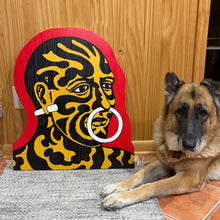 Load image into Gallery viewer, The Great Omi