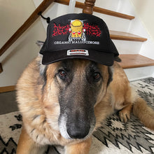 Load image into Gallery viewer, Organic Hallucinosis Embroidered Trucker Hat