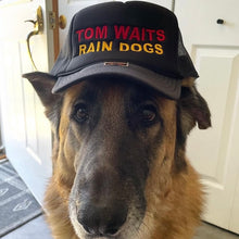 Load image into Gallery viewer, Rain Dogs Trucker Hat