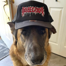 Load image into Gallery viewer, Dissection Trucker Hat
