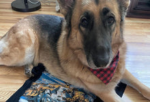 Load image into Gallery viewer, Dog Photo Shirt MRC
